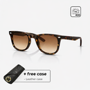 WAYFARER CLASSIC sunglasses